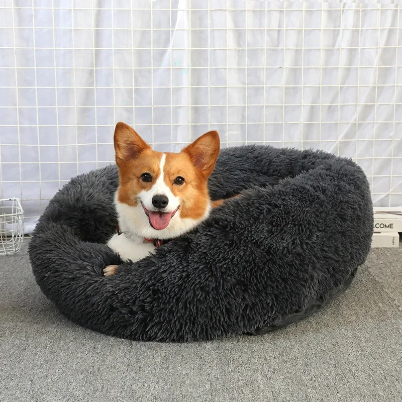 Donut  Bed