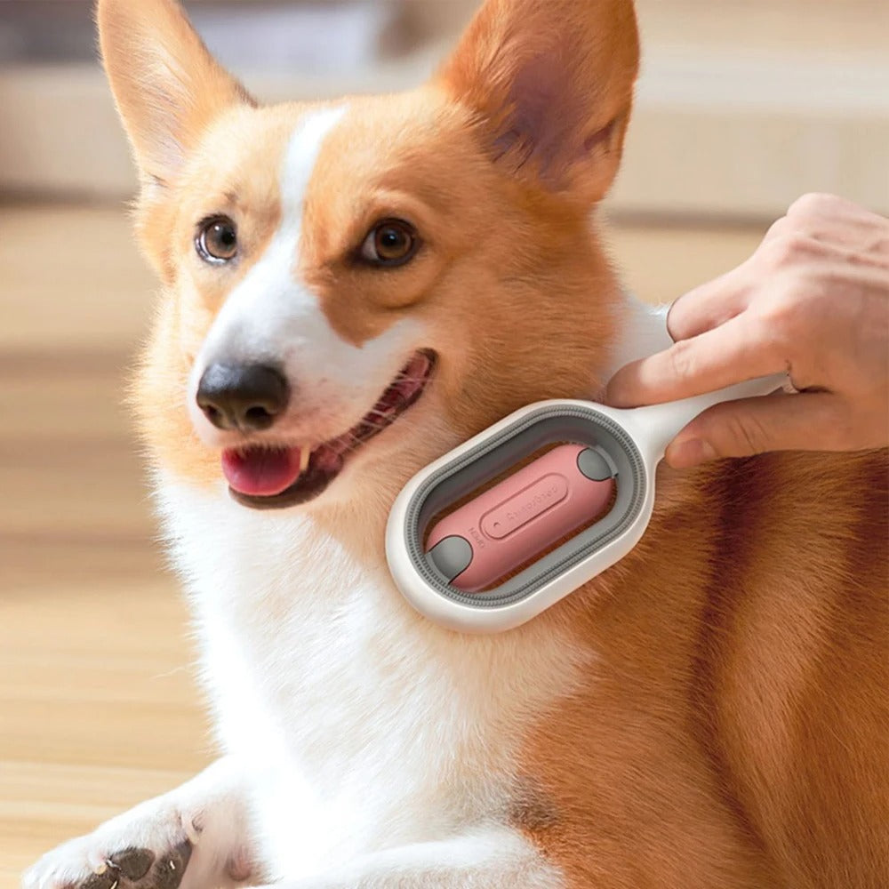 Double Sided Hair Removal Brushes for Pet