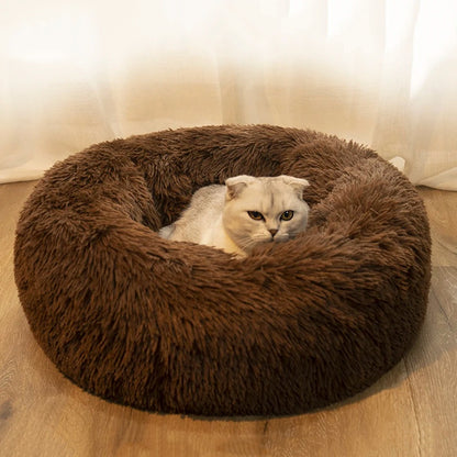 Donut  Bed