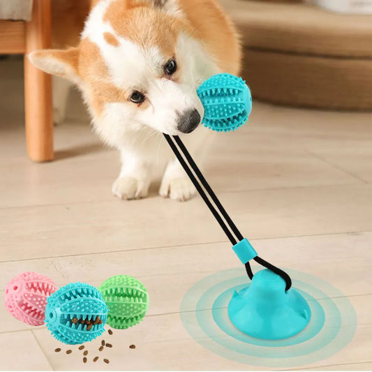 Pet Ball Educational and Interactive Toy