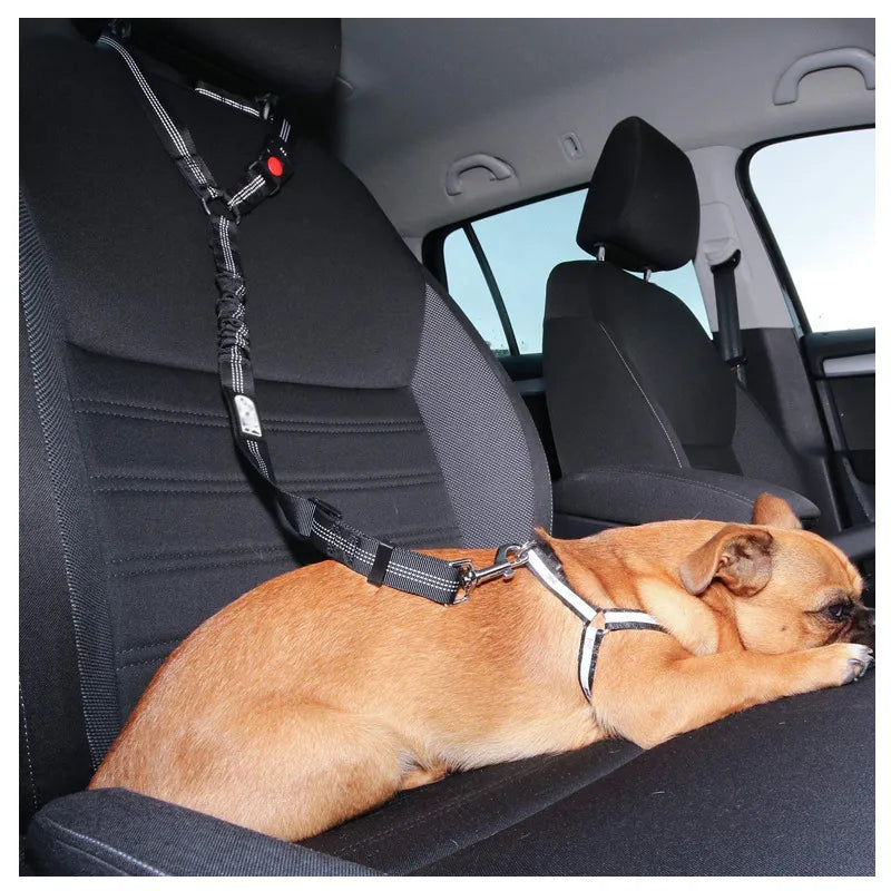 Dog Seat Belt
